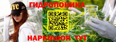 spice Бугуруслан