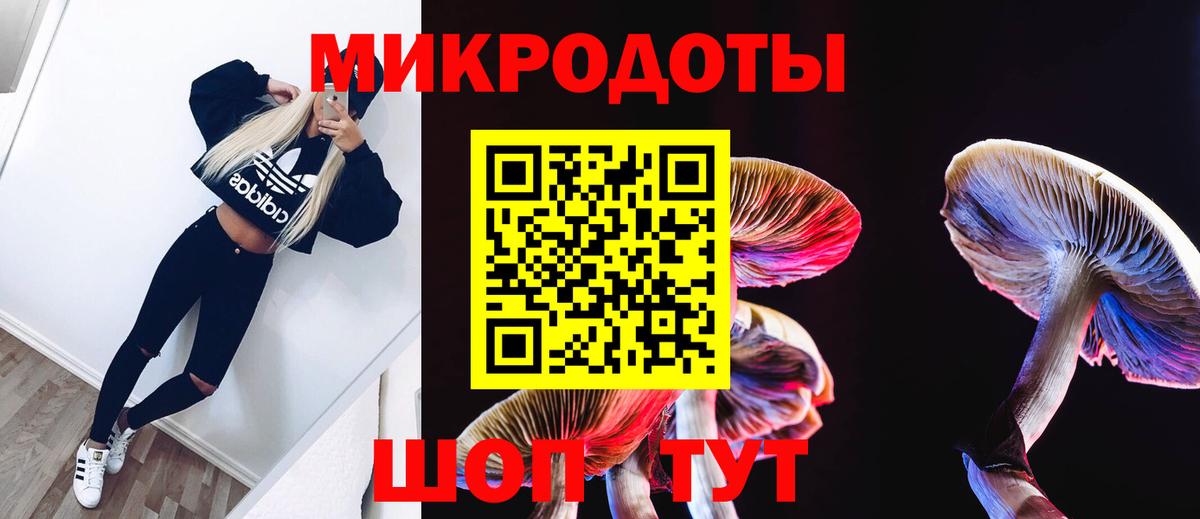 Лабинск  Псилоцибиновые грибы прущие грибы  цена наркотик  Вход с VPN 